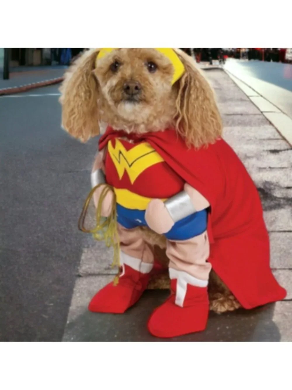 Wonder Woman pet costume Dog Costume Size small Superhero Dog Costume